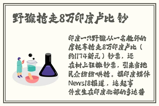 琪琪的色原网站